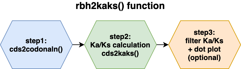 Figure: Overview of the rbh2kaks() function steps